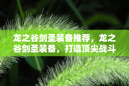 龙之谷剑圣装备推荐,龙之谷剑圣装备,打造顶尖战斗力的关键 龙之谷剑圣装备推荐,龙之谷剑圣装备,打造顶尖战斗力的关键