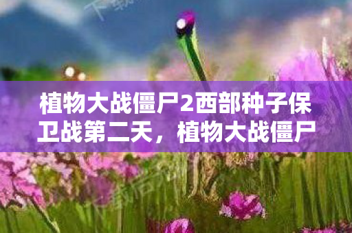 植物大战僵尸2西部种子保卫战第二天,植物大战僵尸2西部种子保卫战第二,策略与智慧的较量 植物大战僵尸2西部种子保卫战第二天,植物大战僵尸2西部种子保卫战第二,策略与智慧的较量