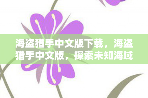 海盗猎手中文版下载,海盗猎手中文版,探索未知海域的冒险之旅 海盗猎手中文版下载,海盗猎手中文版,探索未知海域的冒险之旅