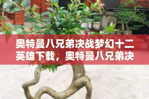 奥特曼八兄弟决战梦幻十二英雄下载，奥特曼八兄弟决战梦幻十二英雄，一场跨越次元的终极对决