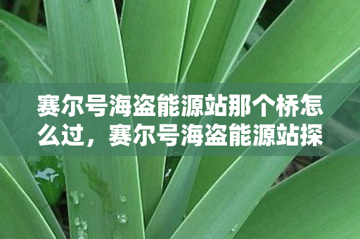 赛尔号海盗能源站那个桥怎么过，赛尔号海盗能源站探索指南