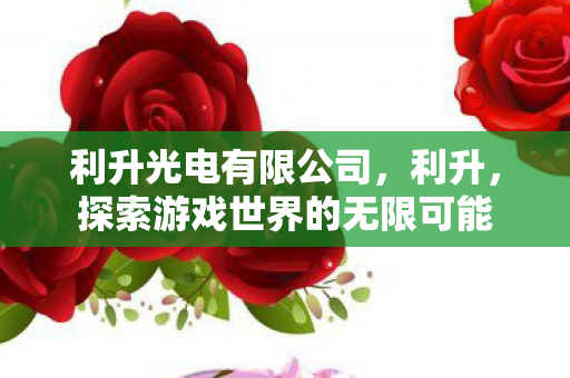 利升光电有限公司,利升,探索游戏世界的无限可能 利升光电有限公司,利升,探索游戏世界的无限可能