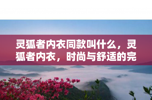 灵狐者内衣同款叫什么,灵狐者内衣,时尚与舒适的完美结合 灵狐者内衣同款叫什么,灵狐者内衣,时尚与舒适的完美结合