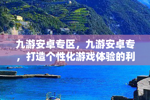 九游安卓专区，九游安卓专，打造个性化游戏体验的利器