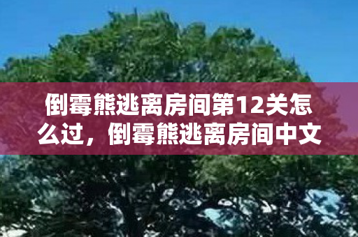 倒霉熊逃离房间第12关怎么过,倒霉熊逃离房间中文版,一场惊险的逃脱之旅 倒霉熊逃离房间第12关怎么过,倒霉熊逃离房间中文版,一场惊险的逃脱之旅