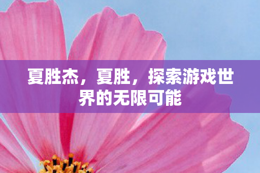 夏胜杰，夏胜，探索游戏世界的无限可能