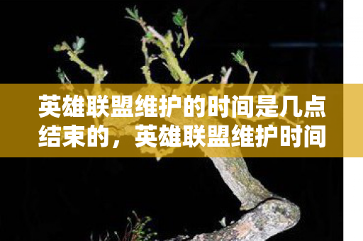 英雄联盟维护的时间是几点结束的,英雄联盟维护时间详解,何时能重新进入战场? 英雄联盟维护的时间是几点结束的,英雄联盟维护时间详解,何时能重新进入战场?