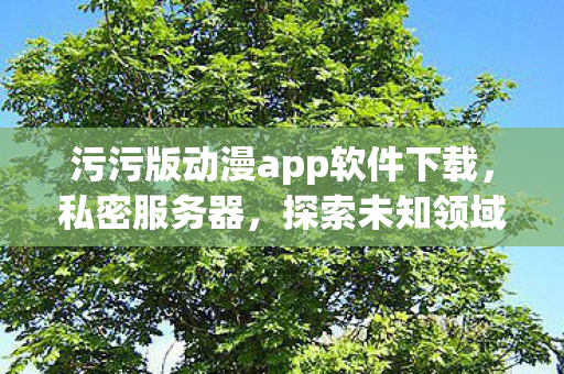 污污版动漫app软件下载，私密服务器，探索未知领域的灰色边缘