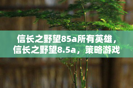 信长之野望85a所有英雄，信长之野望8.5a，策略游戏的经典之作