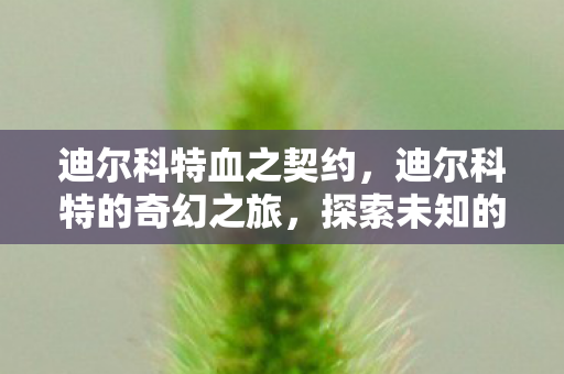 迪尔科特血之契约,迪尔科特的奇幻之旅,探索未知的游戏世界 迪尔科特血之契约,迪尔科特的奇幻之旅,探索未知的游戏世界