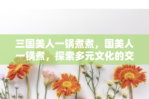 三国美人一锅煮煮，国美人一锅煮，探索多元文化的交融与碰撞