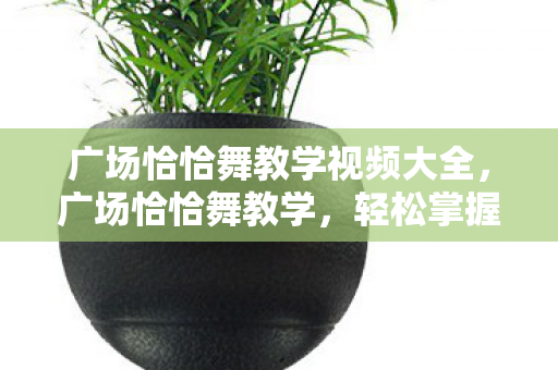 广场恰恰舞教学视频大全，广场恰恰舞教学，轻松掌握热门舞步，展现你的风采