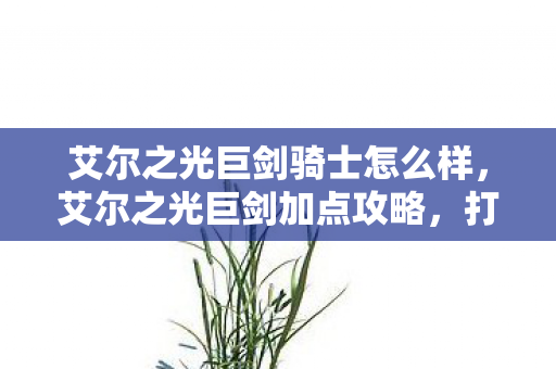 艾尔之光巨剑骑士怎么样,艾尔之光巨剑加点攻略,打造最强战斗力的秘诀 艾尔之光巨剑骑士怎么样,艾尔之光巨剑加点攻略,打造最强战斗力的秘诀