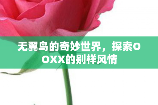 无翼鸟的奇妙世界,探索OOXX的别样风情 无翼鸟的奇妙世界,探索OOXX的别样风情