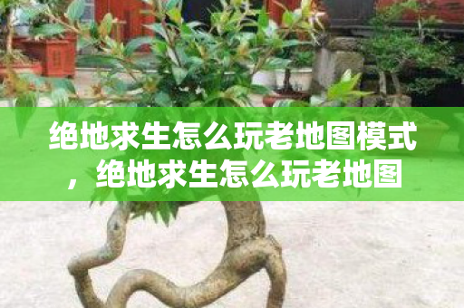 绝地求生怎么玩老地图模式,绝地求生怎么玩老地图 绝地求生怎么玩老地图模式,绝地求生怎么玩老地图