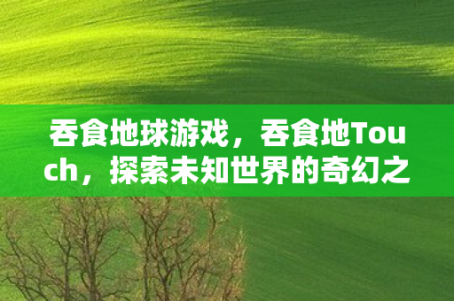 吞食地球游戏，吞食地Touch，探索未知世界的奇幻之旅