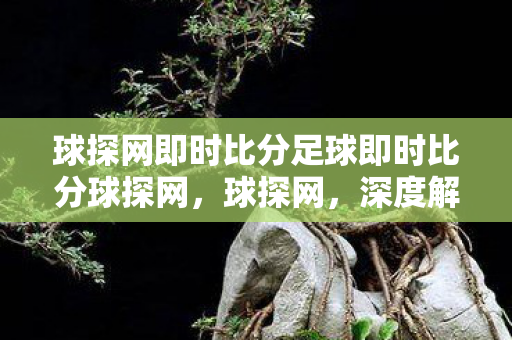 球探网即时比分足球即时比分球探网,球探网,深度解析足球数据平台的魅力与奥秘 球探网即时比分足球即时比分球探网,球探网,深度解析足球数据平台的魅力与奥秘