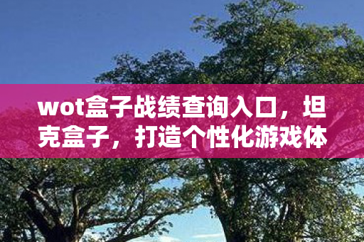 wot盒子战绩查询入口,坦克盒子,打造个性化游戏体验的必备神器 wot盒子战绩查询入口,坦克盒子,打造个性化游戏体验的必备神器