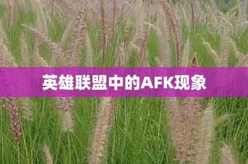 英雄联盟中的AFK现象