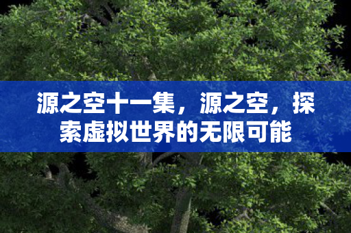 源之空十一集,源之空,探索虚拟世界的无限可能 源之空十一集,源之空,探索虚拟世界的无限可能