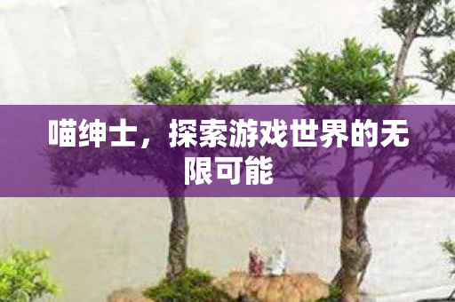 喵绅士，探索游戏世界的无限可能