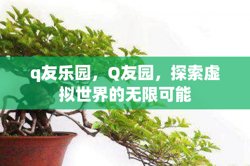 q友乐园,Q友园,探索虚拟世界的无限可能 q友乐园,Q友园,探索虚拟世界的无限可能