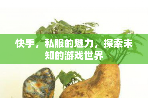 快手,私服的魅力,探索未知的游戏世界 快手,私服的魅力,探索未知的游戏世界