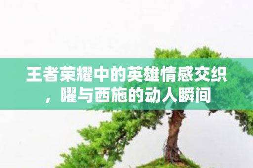 王者荣耀中的英雄情感交织,曜与西施的动人瞬间 王者荣耀中的英雄情感交织,曜与西施的动人瞬间
