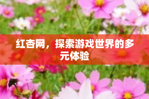 红杏网,探索游戏世界的多元体验 红杏网,探索游戏世界的多元体验