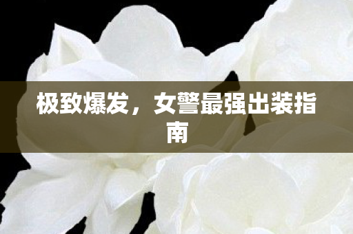 极致爆发,女警最强出装指南 极致爆发,女警最强出装指南