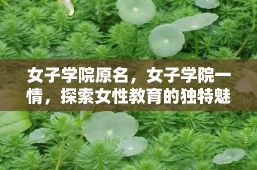 女子学院原名,女子学院一情,探索女性教育的独特魅力 女子学院原名,女子学院一情,探索女性教育的独特魅力