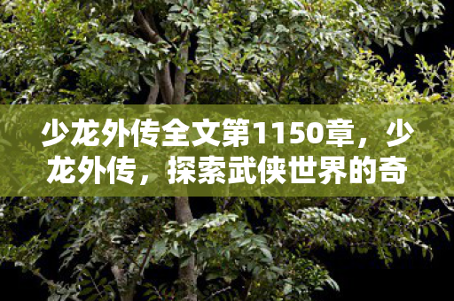 少龙外传全文第1150章,少龙外传,探索武侠世界的奇妙之旅 少龙外传全文第1150章,少龙外传,探索武侠世界的奇妙之旅