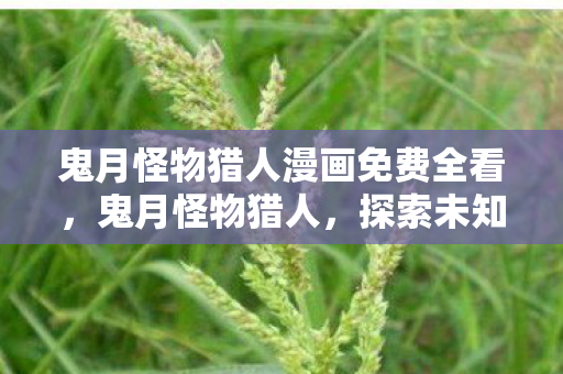 鬼月怪物猎人漫画免费全看,鬼月怪物猎人,探索未知世界的神秘冒险 鬼月怪物猎人漫画免费全看,鬼月怪物猎人,探索未知世界的神秘冒险