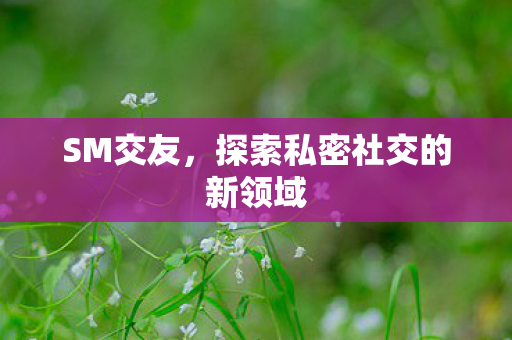 SM交友,探索私密社交的新领域 SM交友,探索私密社交的新领域
