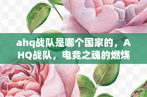 ahq战队是哪个国家的,AHQ战队,电竞之魂的燃烧 ahq战队是哪个国家的,AHQ战队,电竞之魂的燃烧