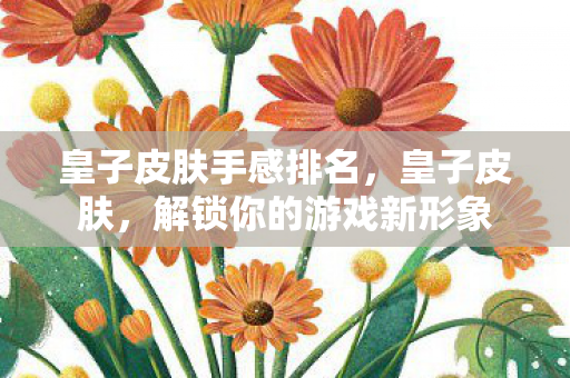 皇子皮肤手感排名,皇子皮肤,解锁你的游戏新形象 皇子皮肤手感排名,皇子皮肤,解锁你的游戏新形象