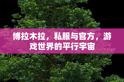 博拉木拉,私服与官方,游戏世界的平行宇宙 博拉木拉,私服与官方,游戏世界的平行宇宙
