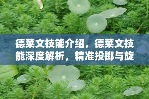 德莱文技能介绍,德莱文技能深度解析,精准投掷与旋转飞斧 德莱文技能介绍,德莱文技能深度解析,精准投掷与旋转飞斧