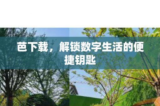 芭下载,解锁数字生活的便捷钥匙 芭下载,解锁数字生活的便捷钥匙