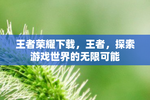王者荣耀下载,王者,探索游戏世界的无限可能 王者荣耀下载,王者,探索游戏世界的无限可能