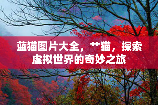 蓝猫图片大全,艹猫,探索虚拟世界的奇妙之旅 蓝猫图片大全,艹猫,探索虚拟世界的奇妙之旅