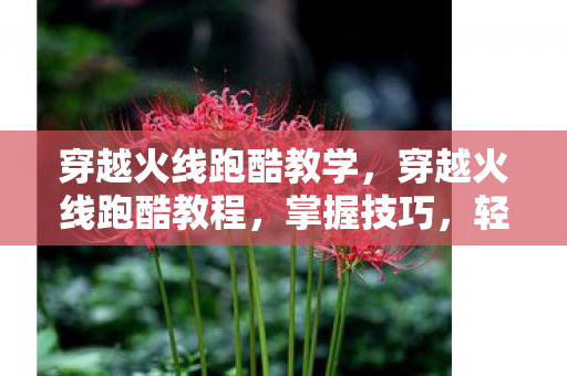 穿越火线跑酷教学,穿越火线跑酷教程,掌握技巧,轻松穿越 穿越火线跑酷教学,穿越火线跑酷教程,掌握技巧,轻松穿越