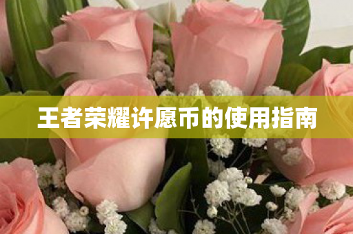 王者荣耀许愿币的使用指南