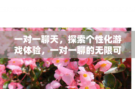 一对一聊天,探索个性化游戏体验,一对一聊的无限可能 一对一聊天,探索个性化游戏体验,一对一聊的无限可能
