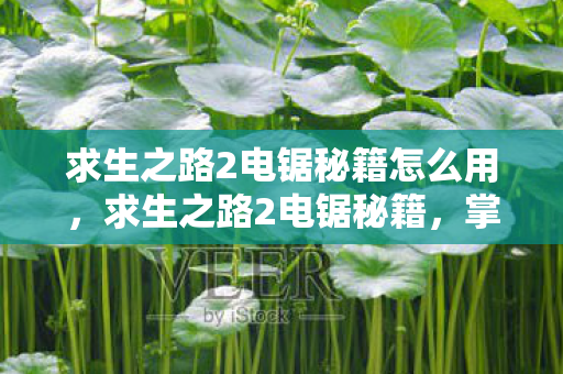 求生之路2电锯秘籍怎么用,求生之路2电锯秘籍,掌握电锯技巧,成为生存大师 求生之路2电锯秘籍怎么用,求生之路2电锯秘籍,掌握电锯技巧,成为生存大师
