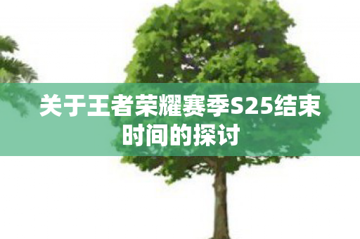 关于王者荣耀赛季S25结束时间的探讨