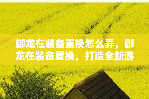 御龙在装备置换怎么弄,御龙在装备置换,打造全新游戏体验 御龙在装备置换怎么弄,御龙在装备置换,打造全新游戏体验