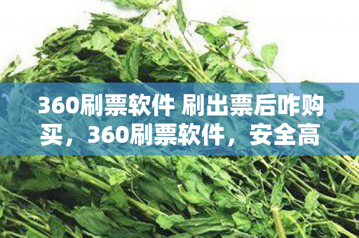 360刷票软件 刷出票后咋购买,360刷票软件,安全高效的在线投票解决方案 360刷票软件 刷出票后咋购买,360刷票软件,安全高效的在线投票解决方案
