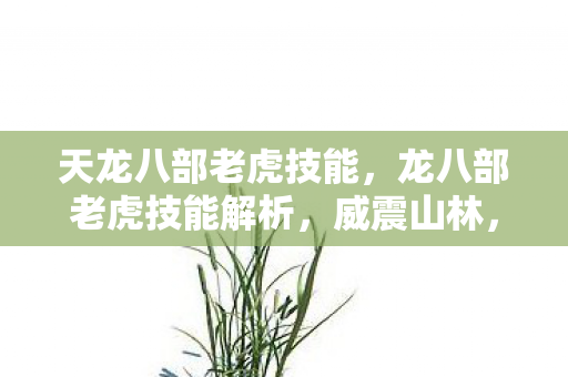 天龙八部老虎技能,龙八部老虎技能解析,威震山林,独步江湖 天龙八部老虎技能,龙八部老虎技能解析,威震山林,独步江湖