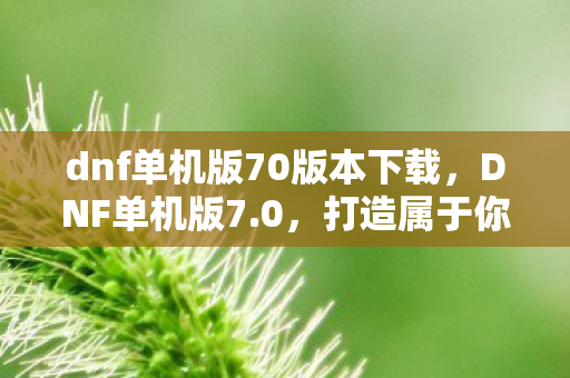 dnf单机版70版本下载,DNF单机版7.0,打造属于你的专属冒险世界 dnf单机版70版本下载,DNF单机版7.0,打造属于你的专属冒险世界